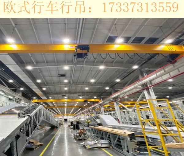 变形的起重机危害 湖南娄底欧式起重机厂家