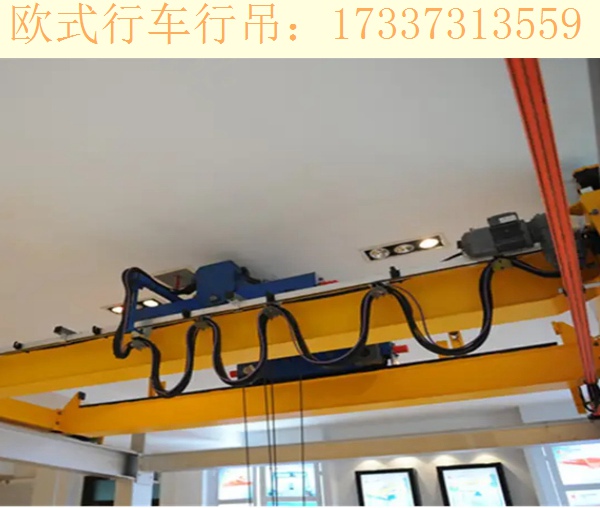 河北沧州选择欧式桥式起重机的原因