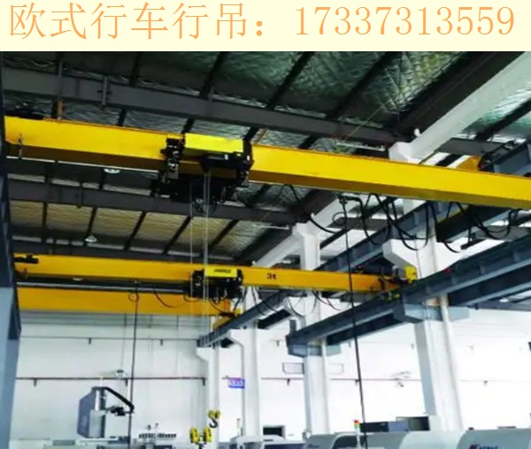 河北沧州欧式起重机厂家 欧式起重机有哪些优点呢